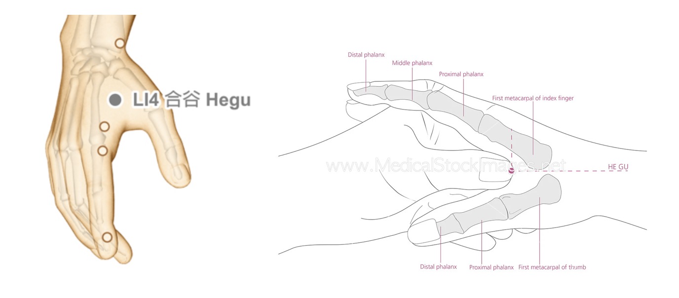 위치 2번 이미지