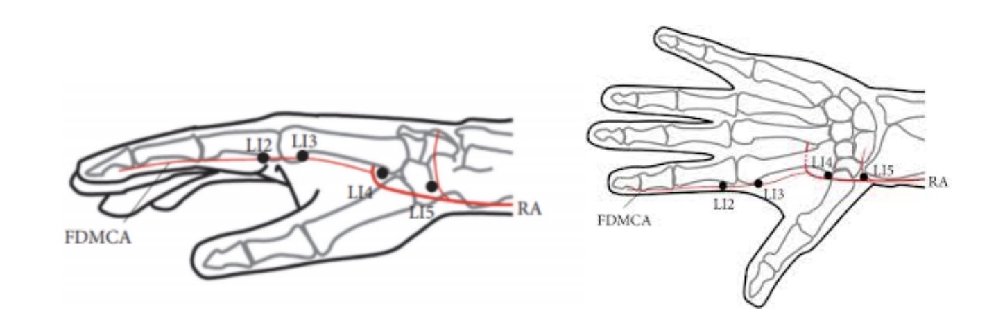 위치 3번 이미지