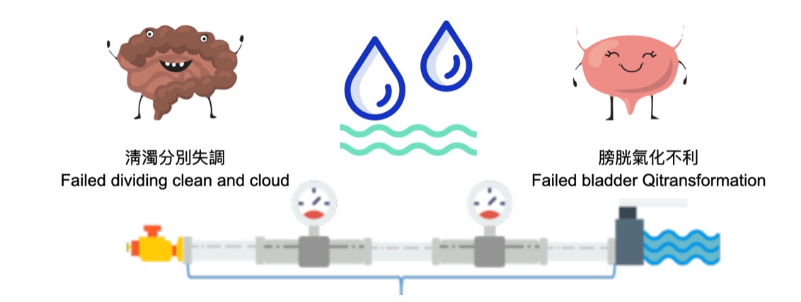 Water metabolism diagram